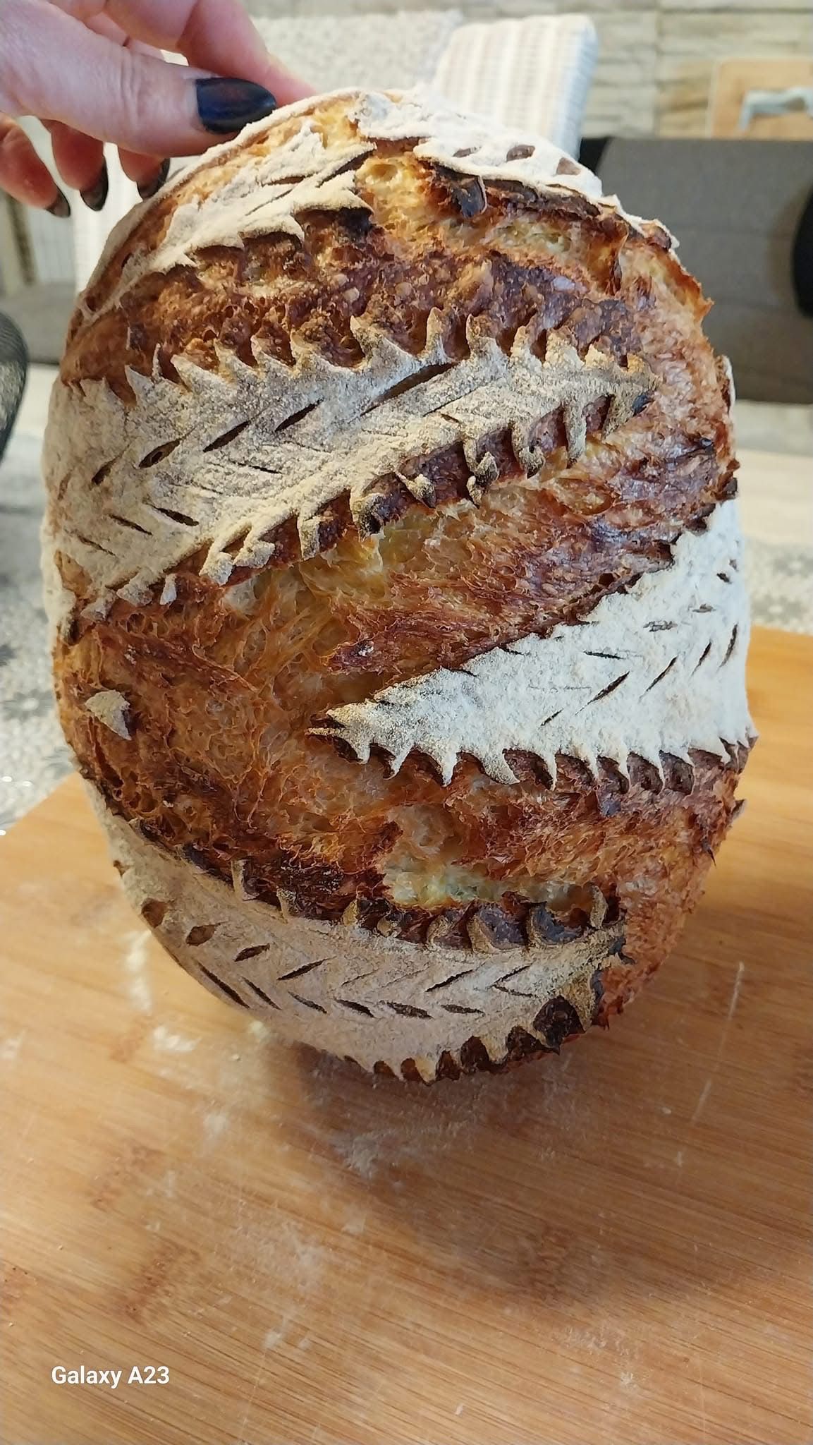 Pane e Panini