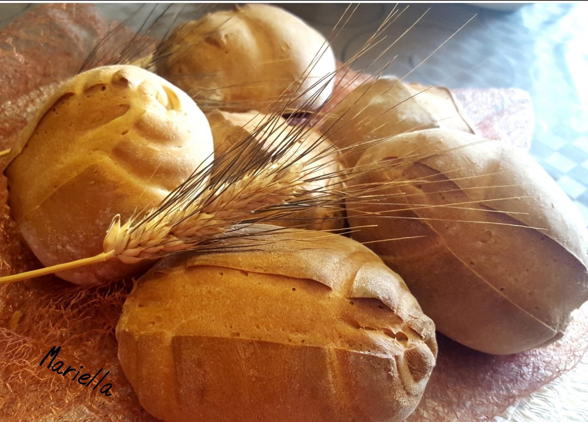 Panini di pasta dura